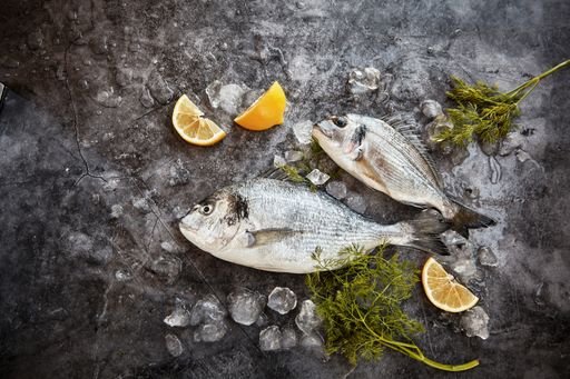 Two fishes in a freezer with ice cubes and lemon slices