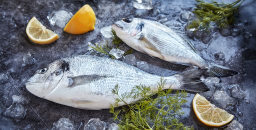 A closeup of dinner plate with grilled fish and lemons