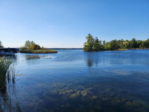 A serene lake with clear blue water, surrounded by lush greenery and a small island, under a bright blue sky.