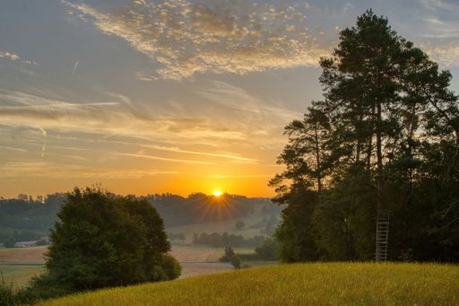 A beautiful sunrise over a serene countryside landscape with trees and fields, under a partly cloudy sky.