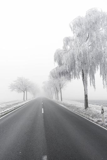 A vertical grayscale shot of an empty road near trees covered in snow