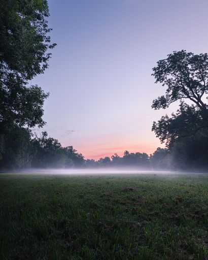 A scenic sunset over a lush green meadow with a bright sky