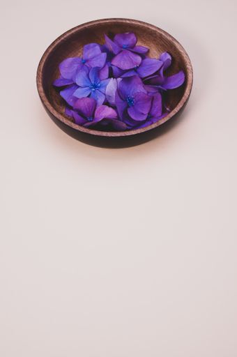 A bowl of fresh hydrangea flowers isolated on a light background with free space for text