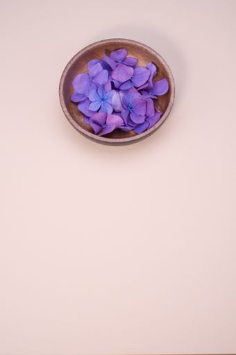 A vertical shot of hydrangea flowers on a wooden bowl isolated on pink background
