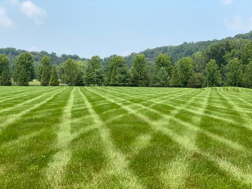 A lawn with stripes from mowing surrounded by lush green trees under a pale clear sky on a sunny day