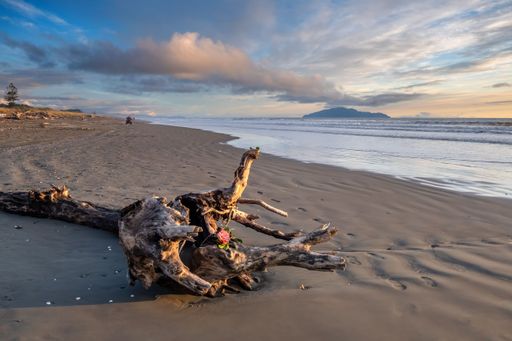 A scenic beach with driftwood on the sand, calm sea, and a distant mountain under a partly cloudy sky at sunset.