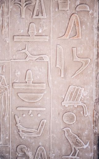 A vertical closeup shot of Egyptian hieroglyphs in the Egyptian Museum in Cairo with jackals and owls depicted on stone