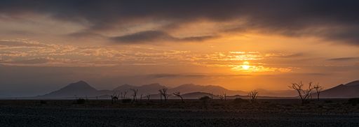 A gorgeous panoramic view of the Sossusvlei Valley in the Namib Desert at sunrise in Namibia, Africa