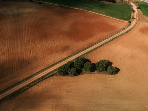 An aerial shot of a field with a pathway and trees on sides - perfect for background