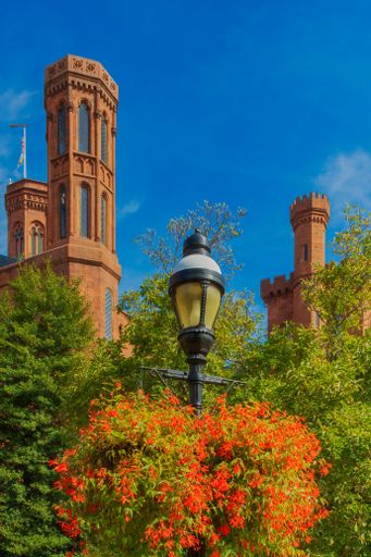 A vertical shot of the Smithsonian Institution museum in Washington DC  with foreground plants and a street lamp