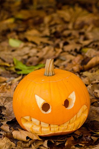 a halloween pumpkin on fallen leaves in an outdoor decoration