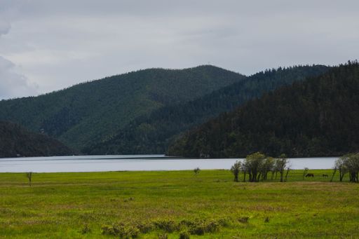 A serene landscape featuring a lush green meadow, a calm lake, and forested hills under an overcast sky.
