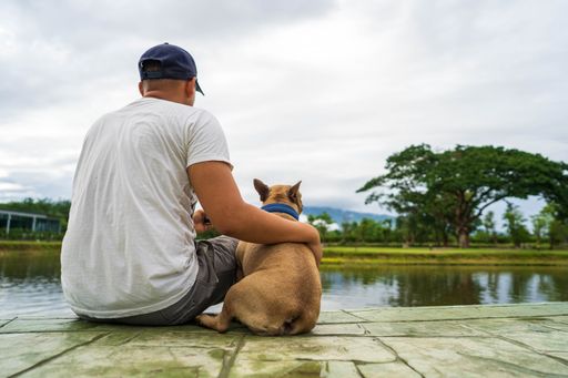 A back view of a man sitting next to the lake with his French bulldog