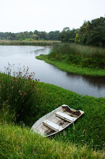 An old wooden boat rests on the lush green grass by a serene lake surrounded by trees.