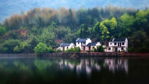Traditional white houses with black roofs by a serene lake surrounded by lush green trees and misty mountains in the background.