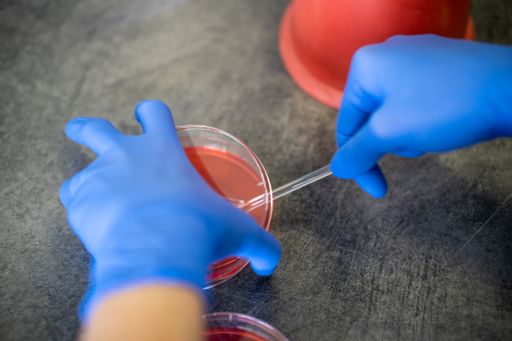 The nurse using test tubes for the new rapidly spreading Coronavirus