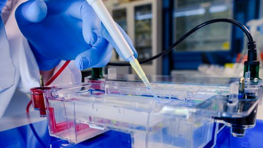 A closeup shot of a scientist conducting the gel electrophoresis biological process as part of coronavirus research