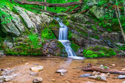 A Scenic view of Shenandoah National Park with a water feature and lush greenery