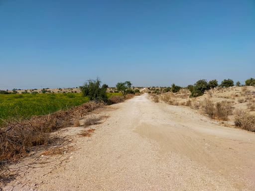 The village road covers in the sand on a sunny day