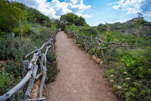 A scenic dirt path through a lush green forest with rustic wooden fences under a partly cloudy sky.