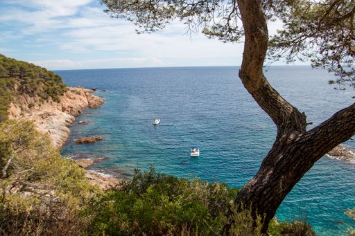 A view of a beautiful Tamariu with a blue sea and boats in it near the cliffs and hills in Spain