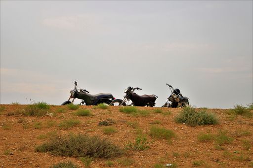 A closeup of motorcycles parked in a desert field with green bushes