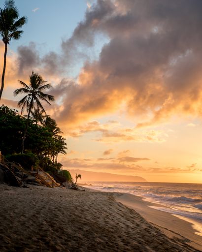 A vertical shot of a beautiful sunset on the sandy beach with palm trees