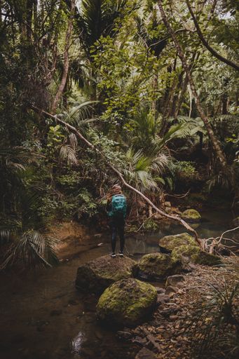 A vertical shot of a girl on the stones of the woods near the Kitekite Falls, New Zealand