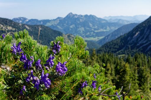 A beautiful landscape of Mangfall Mountains, Bavarian Prealps, Southern Germany