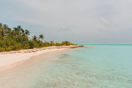 A high angle shot of the ocean with pink sandy beach and palm trees on a clear day