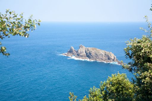 Scenic view of a rocky island surrounded by the deep blue ocean, framed by lush greenery under a clear sky.