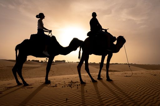 Silhouettes of two people riding camels in a desert during sunset, creating a picturesque scene with sand dunes in the background.