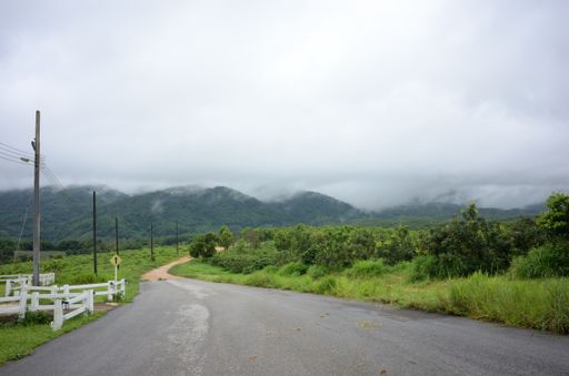 A road in the middle of grassy fields with mountains in the distance in Chiangrai, Thailand