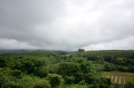 A beautiful shot of a forest under a cloudy sky in Chiangrai, Thailand