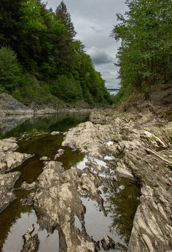 A vertical shot of the river flowing through the forest.
