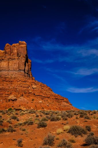 A vertical shot of a desert with dried bushes and a big cliff in the distance under a blue sky