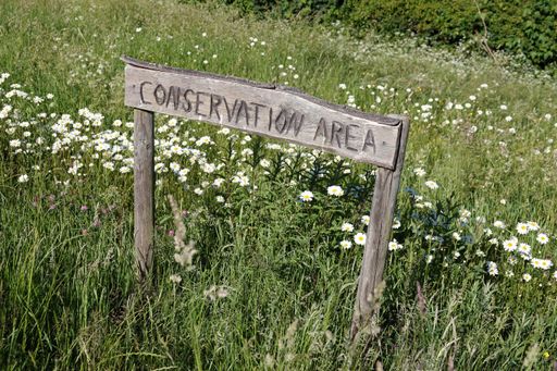 A closeup shot of a wooden sign with a "Conservation area" writing in the field