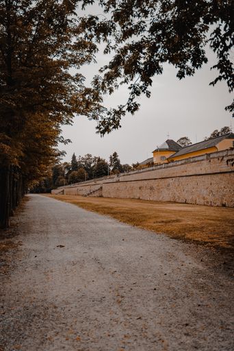 A vertical shot of a route on the side of a church surrounded by trees