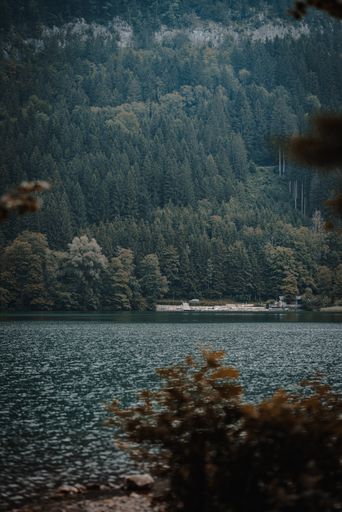 A vertical shot of a lake or a river surrounded by forest on a hill on a cloudy day