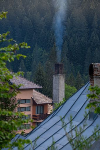 A vertical shot of a smoking chimney against green forest