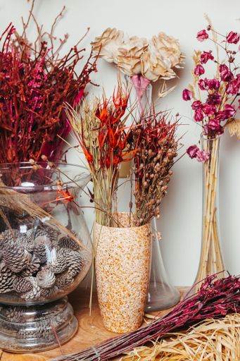 A collection of dried flowers and pinecones in various vases on a wooden surface, showcasing natural textures and earthy tones.