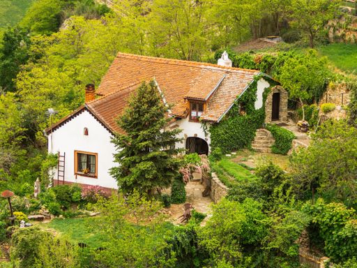 Charming countryside cottage surrounded by lush greenery and vibrant garden, perfect for a serene retreat.