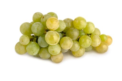 Bunch of Albarino white grapes isolated on white background