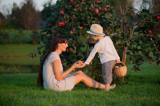 A young Caucasian woman and child picking apples in an orchard, enjoying a sunny day outdoors.