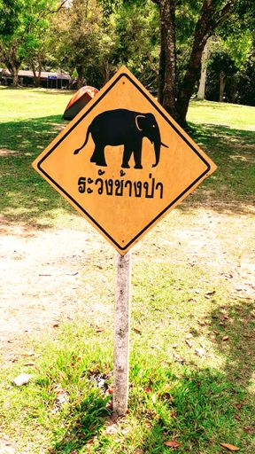 A closeup shot of elephants crossing warning sign in the forest