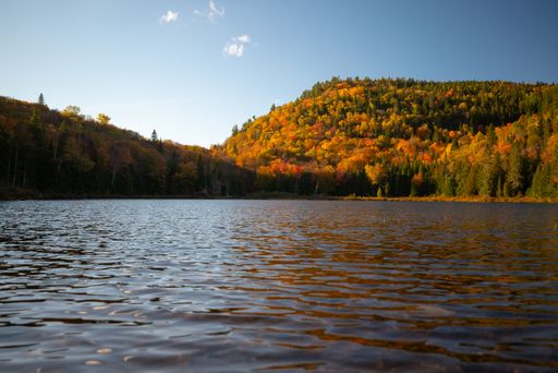 A scenic view of a lake with vibrant autumn foliage on surrounding hills under a clear blue sky.