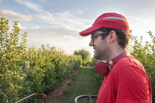 A young smiling man driving an apple-picking machine in a fruit orchard, agricultural concept
