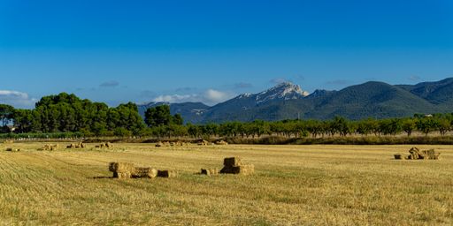 A shot of nature view of dried fields and mountains in the background of blue sky in Alicante