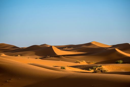 A beautiful shot of sand dunes with bushes and a clear sky in the background at daytime