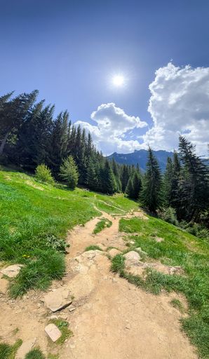 Sunny mountain landscape with a dirt path, lush green grass, and tall pine trees under a bright blue sky with fluffy clouds.